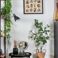 Hofstein Brienz Klemmleuchte Chrom, Schwarz, 1-flammig 23 Hofstein Brienz Klemmleuchte Chrom, Schwarz, 1-flammig -Bürolampen Verkäufe brienz klemmleuchte h3545331 11